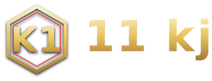 11 kj logo